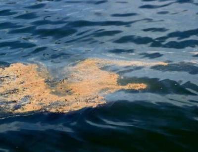 На Сахалине плашкоут столкнулся с китайским судном, произошел разлив нефтепродуктов
