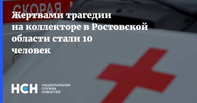 Жертвами трагедии на коллекторе в Ростовской области стали 10 человек