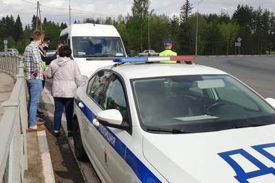 В столице Карелии задержали маршрутчика-нелегала