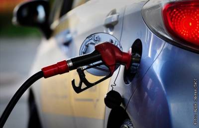 Трейдеры попросили Новака о срочных мерах по снижению цен на бензин