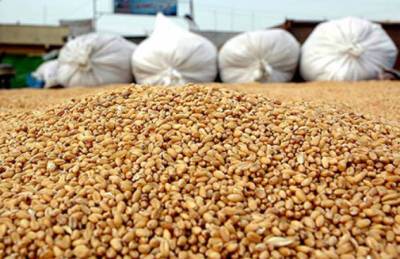 Запасы зерновых в Украине составляют более 9,5 млн т