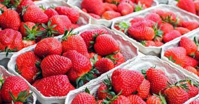 В Украине дешевеет клубника: какая цена ягод