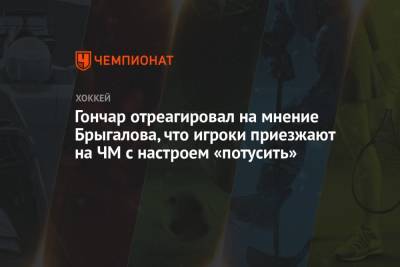 Гончар отреагировал на мнение Брыгалова, что игроки приезжают на ЧМ с настроем «потусить»