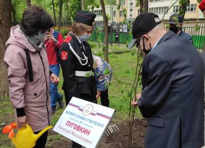 На востоке Москвы появились аллеи в честь заслуженных педагогов