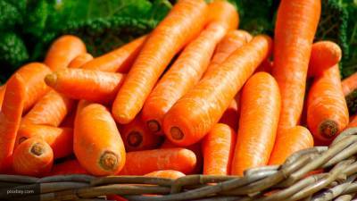 Дачникам рассказали о эффективных рекомендациях для хорошего урожая моркови