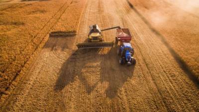 Минсельхоз представил прогноз по сбору зерна в 2021 году