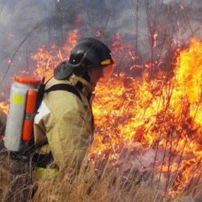 МЧС предупреждает о чрезвычайной пожароопасности в Астраханской области