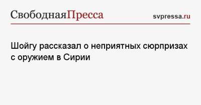 Шойгу рассказал о неприятных сюрпризах с оружием в Сирии