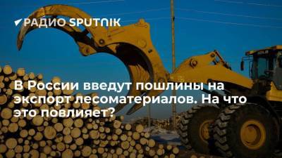 В России введут пошлины на экспорт лесоматериалов. На что это повлияет?