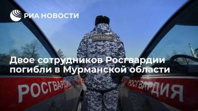 Двое сотрудников Росгвардии погибли в Мурманской области