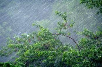 В Вологодской области объявлено штормовое предупреждение до 22 мая