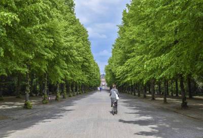 Названы ТОП-3 парка, где жители Петербурга предпочитают спасаться от жары