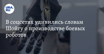 В соцсетях удивились словам Шойгу о производстве боевых роботов. «Теперь призыв отменят?»