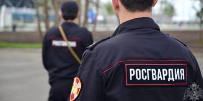 Двое сотрудников Росгвардии погибли при высадке из вертолета в Мурманской области