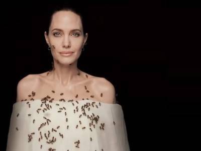 Анджелина Джоли - Анджелина Джоли стала лицом кампании "Женщины за пчёл" - sobesednik.ru