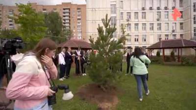 В России на последних звонках прошла международная акция «Сад памяти»