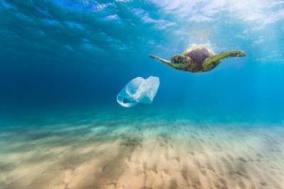 ​"СИБУР" занял 6-е место в Европе по загрязнению планеты пластиком