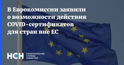 В Еврокомиссии заявили о возможности действия COVID-сертификатов для стран вне ЕС