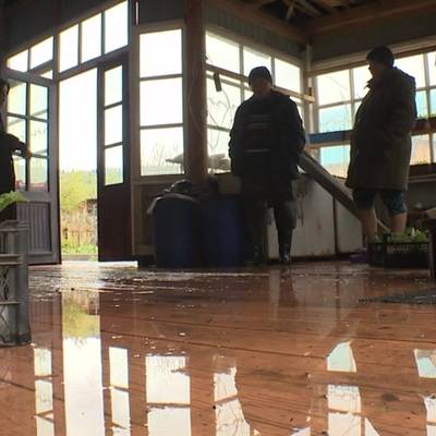 Количество эвакуированных из-за паводка в Туве увеличилось до 52