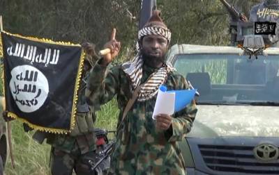 В Нигерии погиб главарь Боко Харам - СМИ