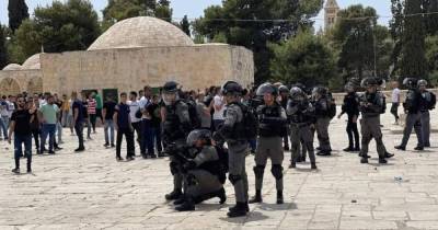 Первый день перемирия в Израиле: гумпомощь, драка на Храмовой горе, ХАМАС празднует победу