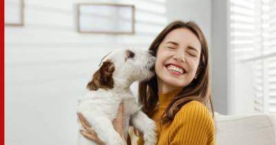 Как сделать собаку счастливой: пять простых советов