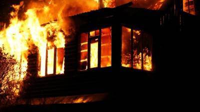 Двое взрослых и четверо детей сгорели заживо в Удмуртии