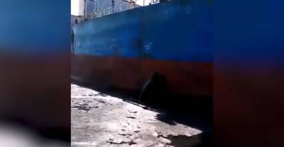 "Вот это мы приехали!": у Сахалина российское судно пробило борт китайскому