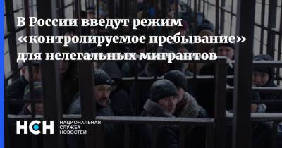 В России введут режим «контролируемое пребывание» для нелегальных мигрантов