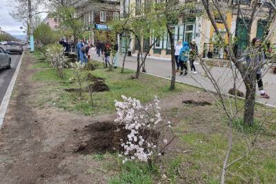 Журналисты присоединились к восстановлению аллеи по улице Ленина в Чите