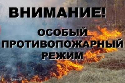 Замглавы Рослесхоза оценил работу по организации тушения пожаров в Тюменской области: Команда хорошо работает