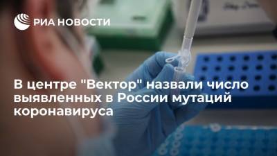 В центре "Вектор" назвали число выявленных в России мутаций коронавируса