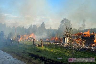 Сильный пожар в Тверской области уничтожил жилые дома