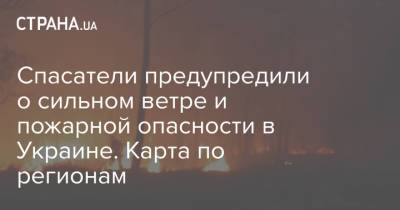 Спасатели предупредили о сильном ветре и пожарной опасности в Украине. Карта по регионам