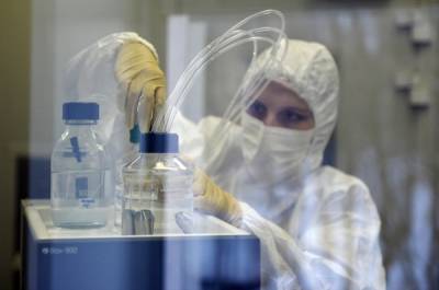 В Конго стартует исследование вакцины «Вектора» против лихорадки Эбола
