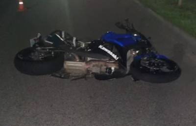 Мотоциклист погиб после столкновения с лосем в Могилеве (ВИДЕО)