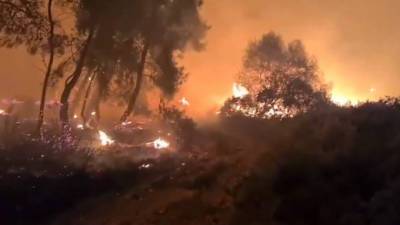 В Греции третьи сутки тушат лесной пожар к западу от Афин
