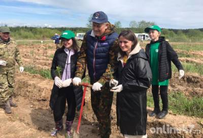 «Давайте поработаем!»: Александр Дрозденко лаконично дал старт Всероссийскому дню посадки леса в Ленобласти