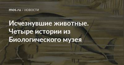 Исчезнувшие животные. Четыре истории из Биологического музея - mos.ru - Москва