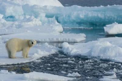 Мазут заменят на СПГ: арктические экологи написали очередное воззвание к мировым политикам