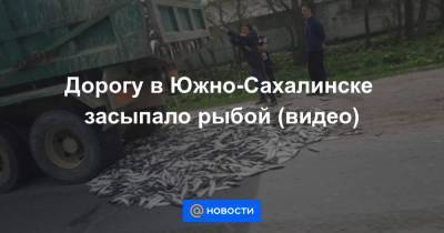 Дорогу в Южно-Сахалинске засыпало рыбой (видео)