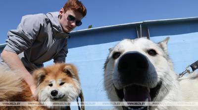 ФОТОФАКТ: Областная выставка охотничьих собак проходит в Гомеле