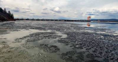 Прокуратура начала проверку из-за загрязнения водохранилища у Кодинска