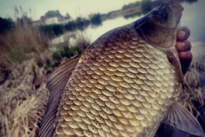 В Тамбовской области рыболовы с нарушением слуха выявят сильнейших