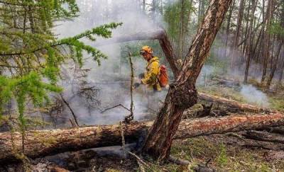 До введения режима ЧС сотрудники Тюменской авиабазы потушили лесные пожары на площади более 30 тысяч гектаров