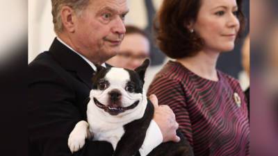 Умер "улыбающийся" пес президента Финляндии