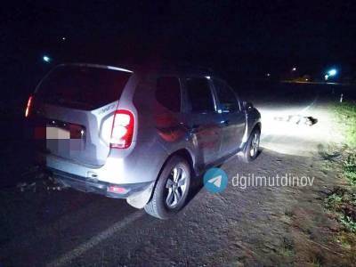 В Башкирии под колесами Renault Duster погибла 32-летняя женщина