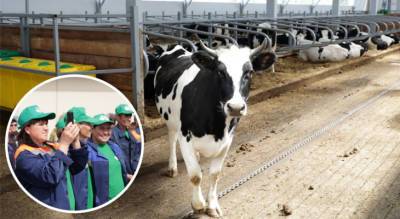 В одном из районов Чувашии построили ферму на 500 дойных коров