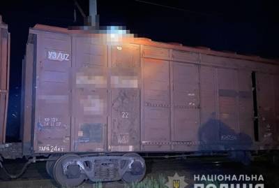 В Житомирской области на крыше вагона нашли тело 18-летнего парня