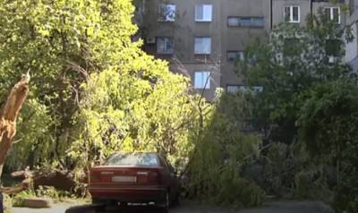 Сорвется ураганный ветер: в Украине объявили первый уровень опасности - названы области